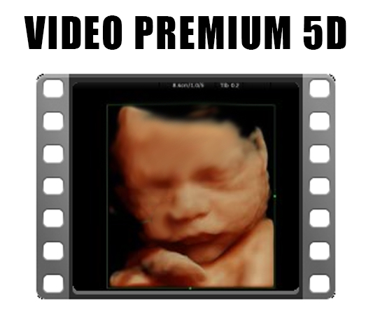 video premium 5D