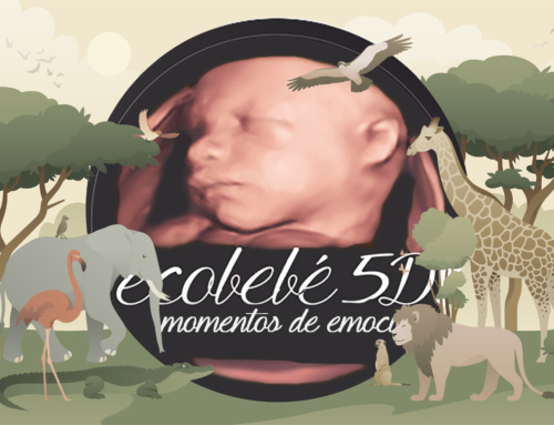 Ecobebé 5D Barcelona más Ecológico